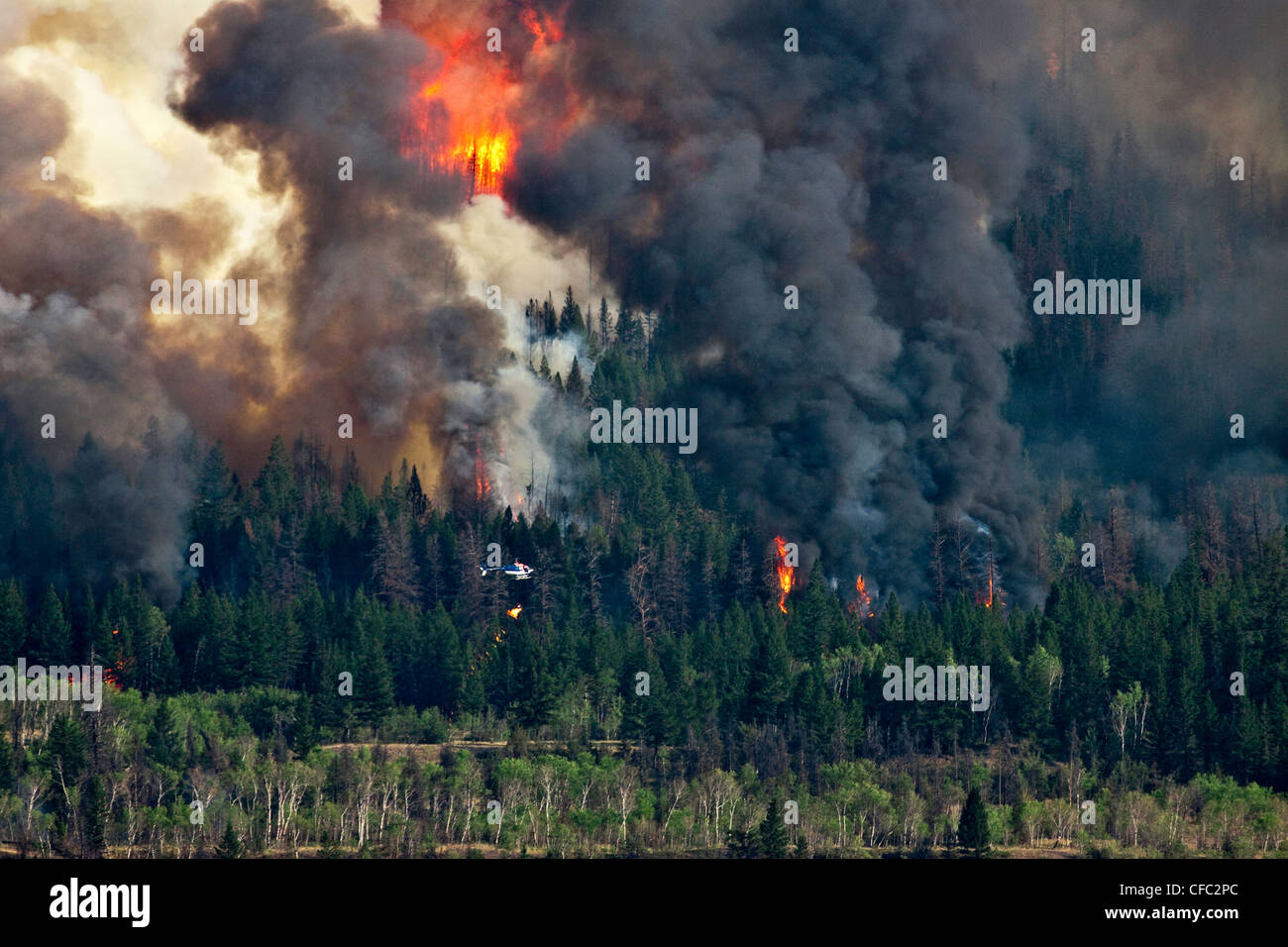 Imágenes de incendios forestales en la región de British Columbia Chilcotin Canadá Foto de stock