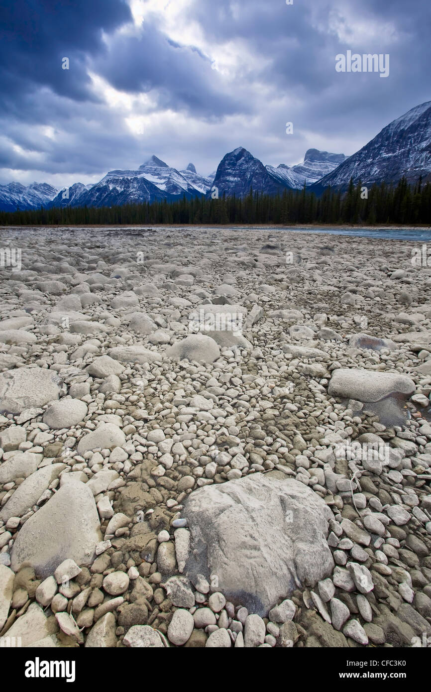 Pedregoso cauce seco del río Athabasca, rango de Athabasca en segundo plano. El Parque Nacional de Jasper, Alberta, Canadá. Foto de stock