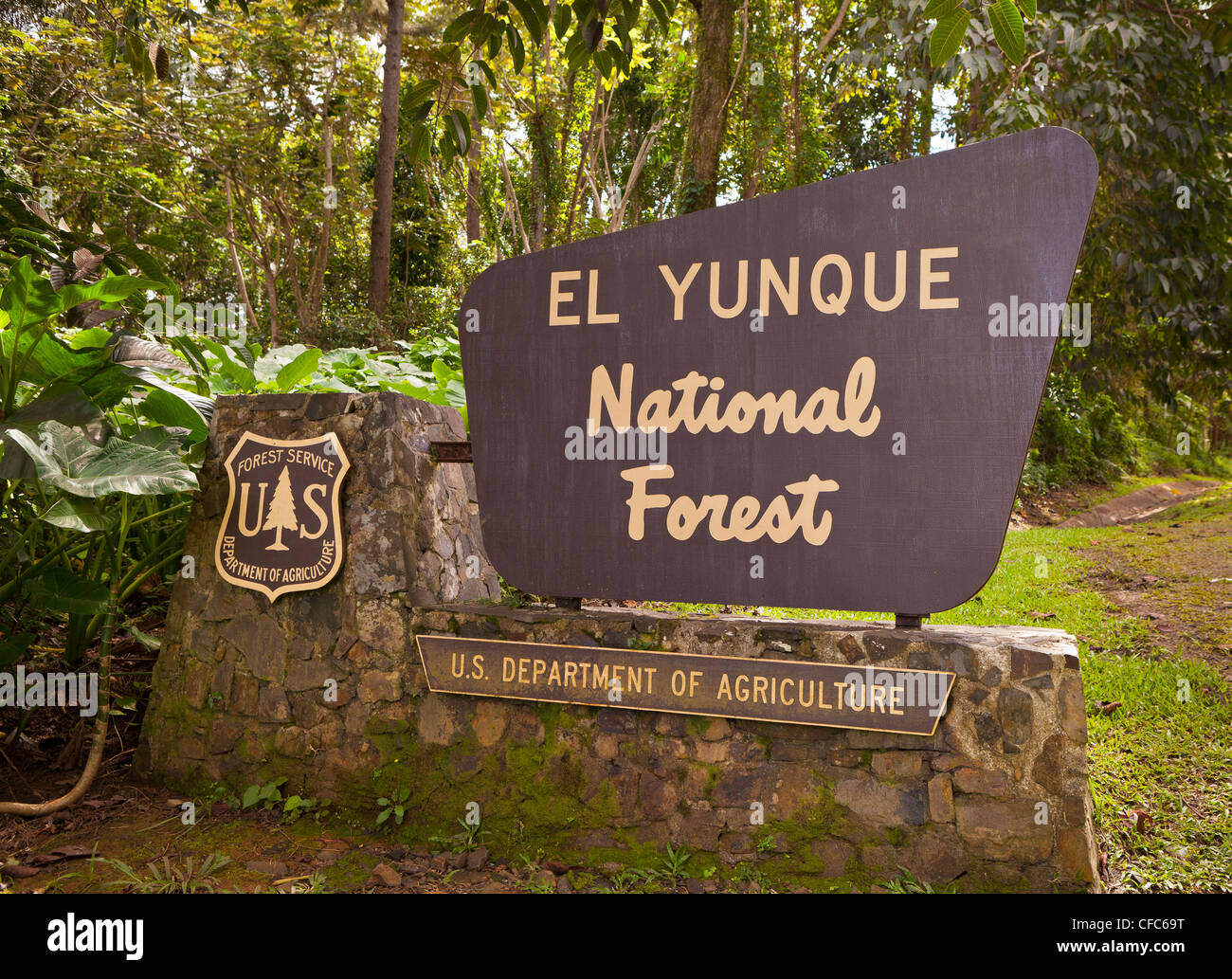 Bosque Nacional de El Yunque, PUERTO RICO El Yunque National Forest