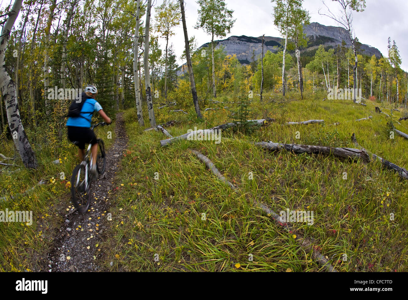 Una mujer ciclista de montaña paseos singletrack clásica del Lago Minnewanka, el Parque Nacional Banff, AB Foto de stock