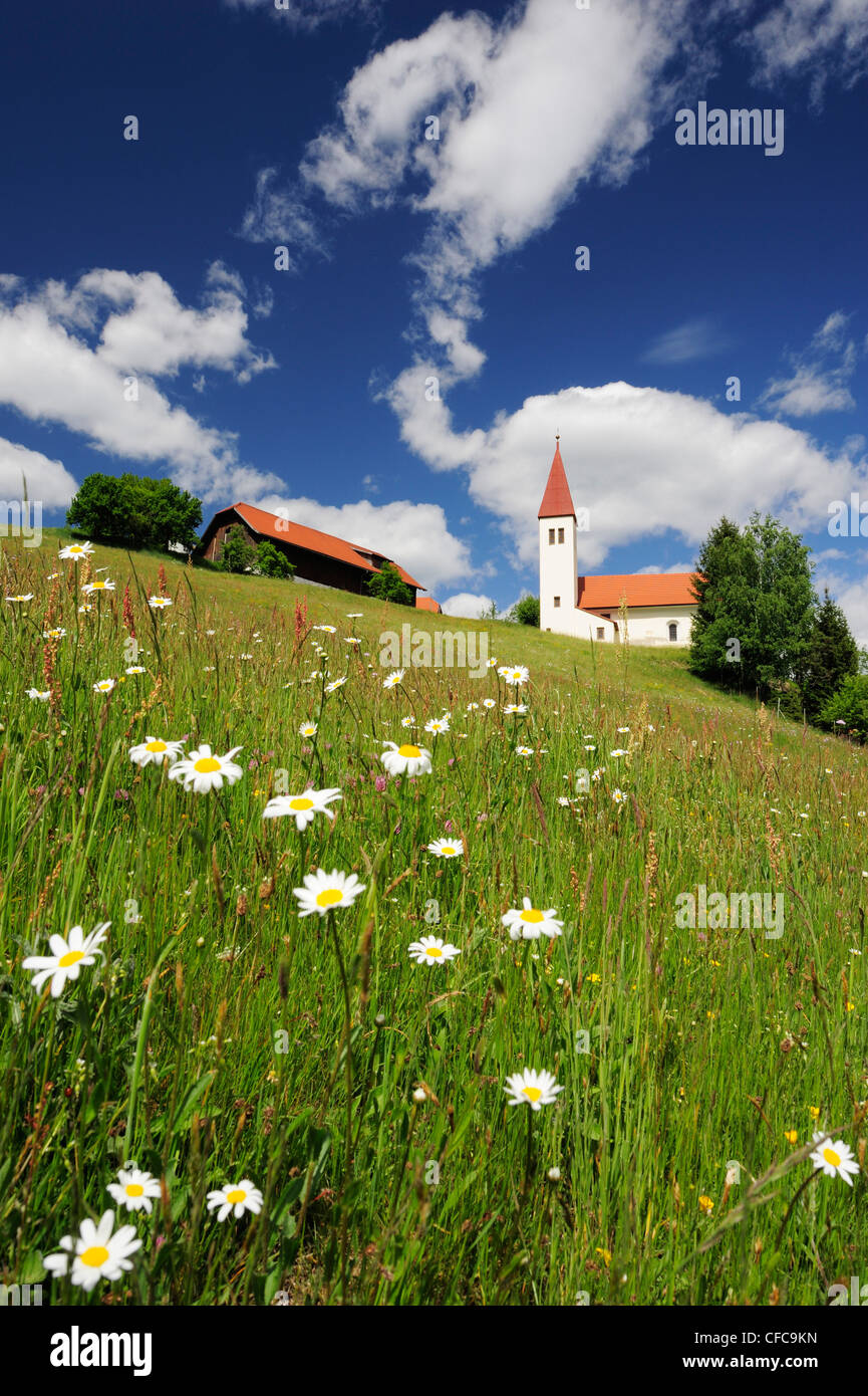 La iglesia y el caserío de pie en un prado de flores, Carintia, Austria, Europa Foto de stock