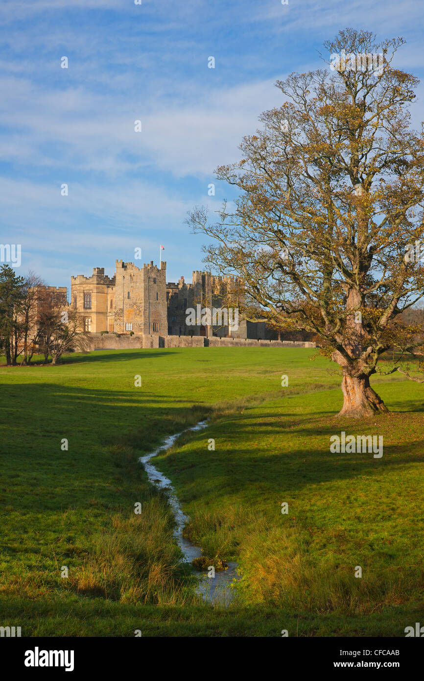 Raby Castle, en el Condado de Durham, Inglaterra Foto de stock