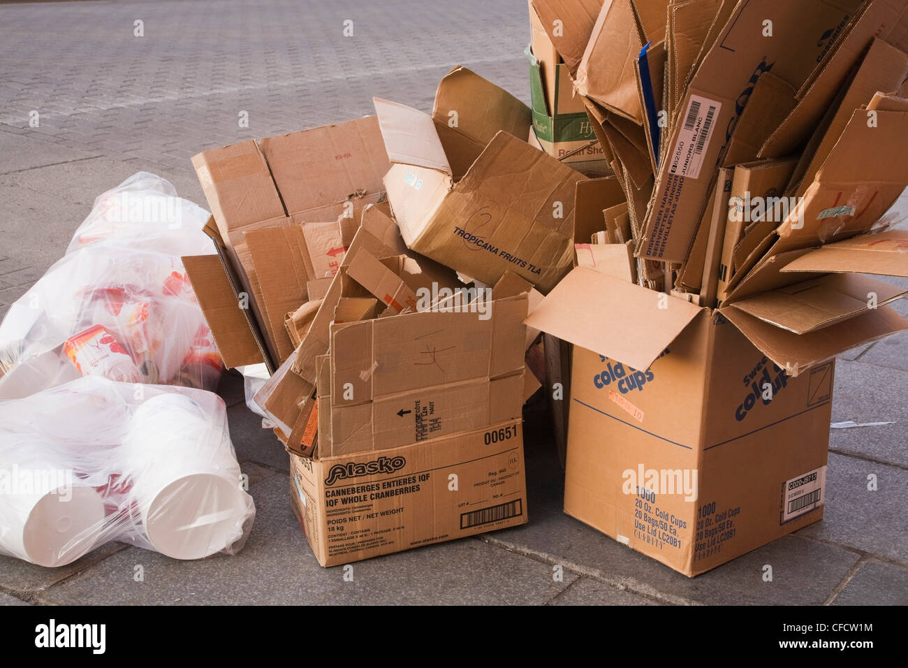 Cajas de cartón y bolsas de plástico en una acera de la ciudad listo para  ser recogido para su reciclaje, el casco antiguo de Montreal, Quebec,  Canadá Fotografía de stock - Alamy