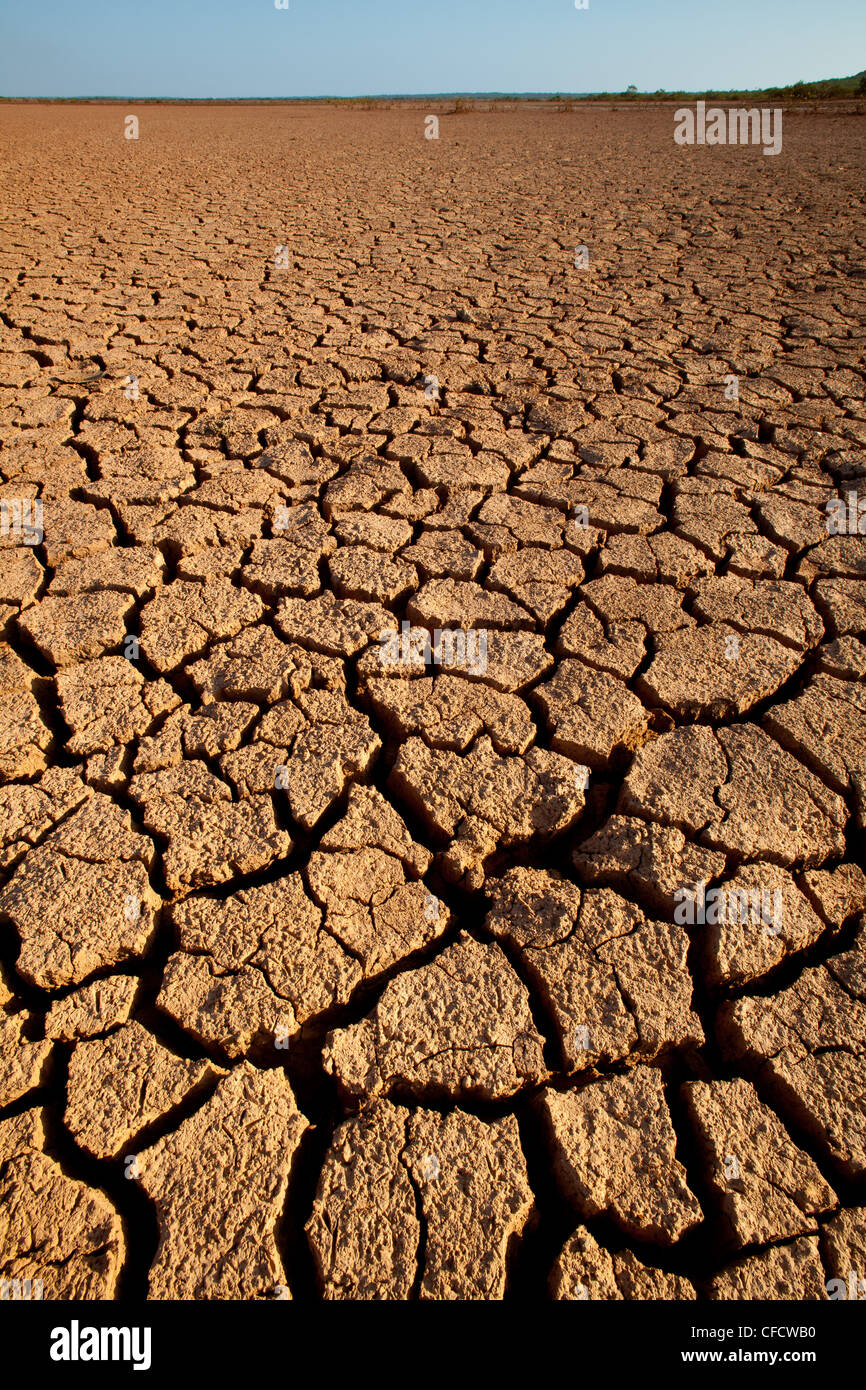 Tierra agrietada en el Parque Nacional Sarigua (desierto) en la provincia de Herrera, República de Panamá. Foto de stock