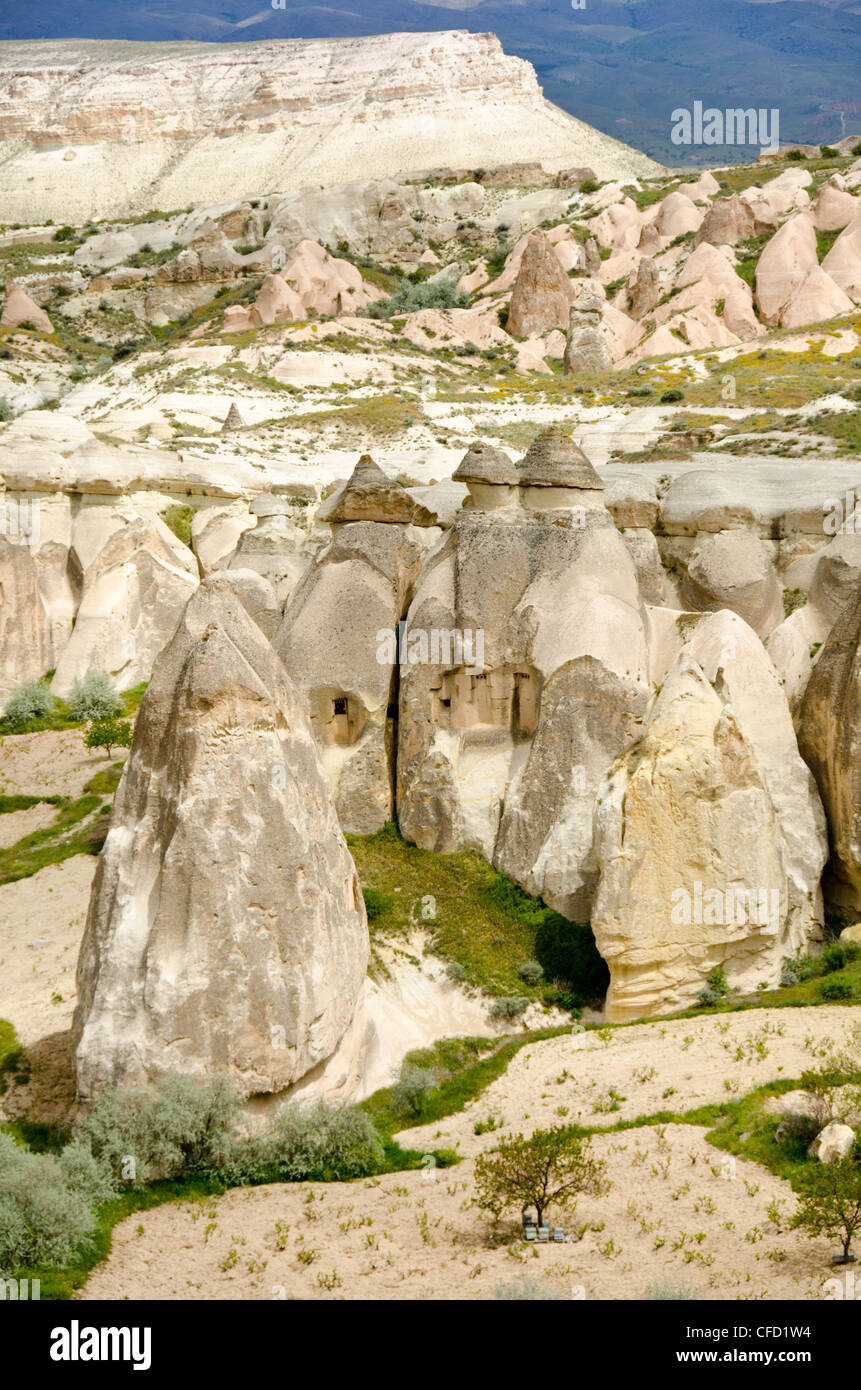Hoodoos en singular paisaje cerca de Goreme, Capadocia, también Capadocia, Anatolia Central, principalmente en la provincia de Nevşehir, Turquía Foto de stock