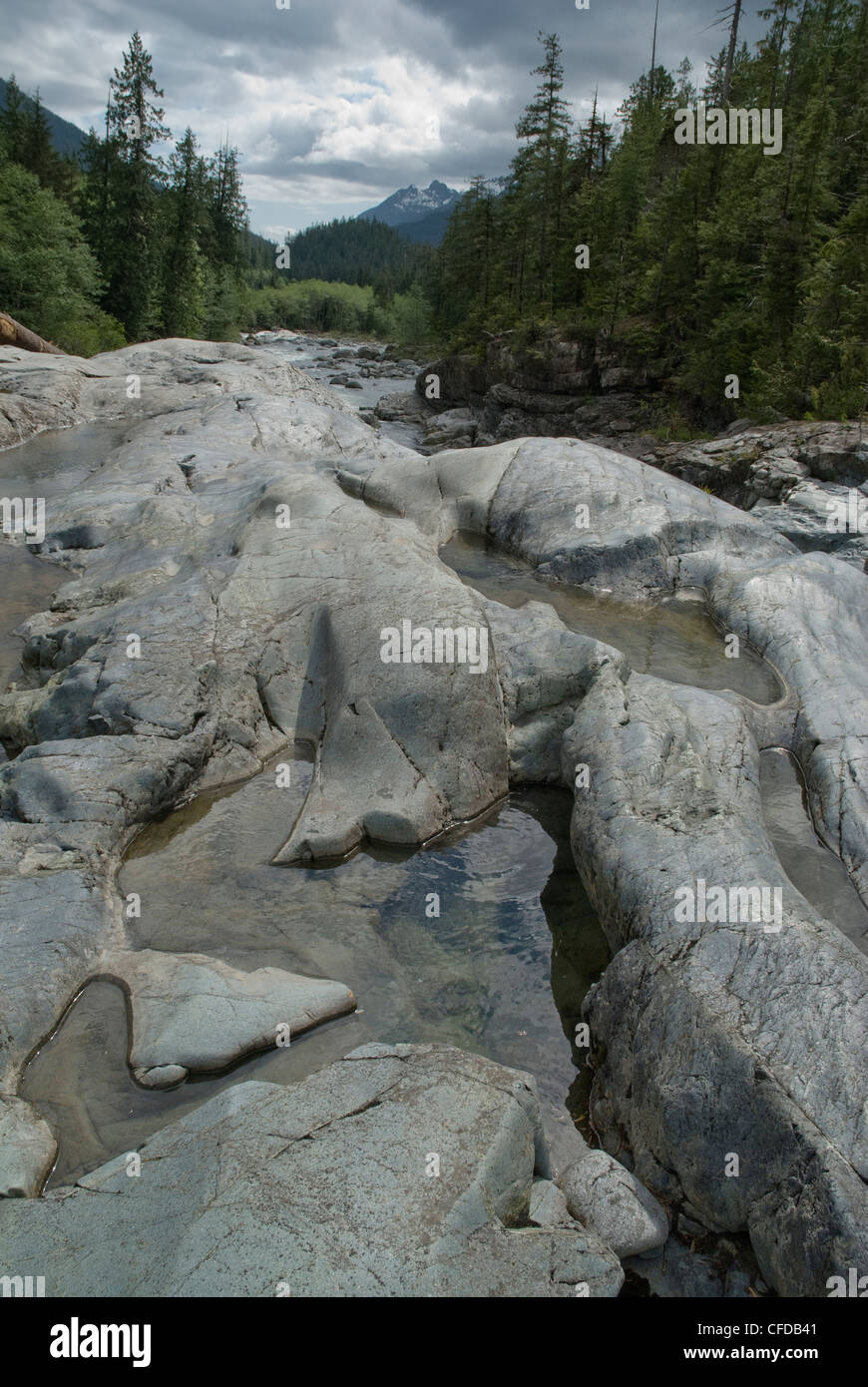 Un lecho rocoso cerca de Tofino, BC, Canadá. Foto de stock