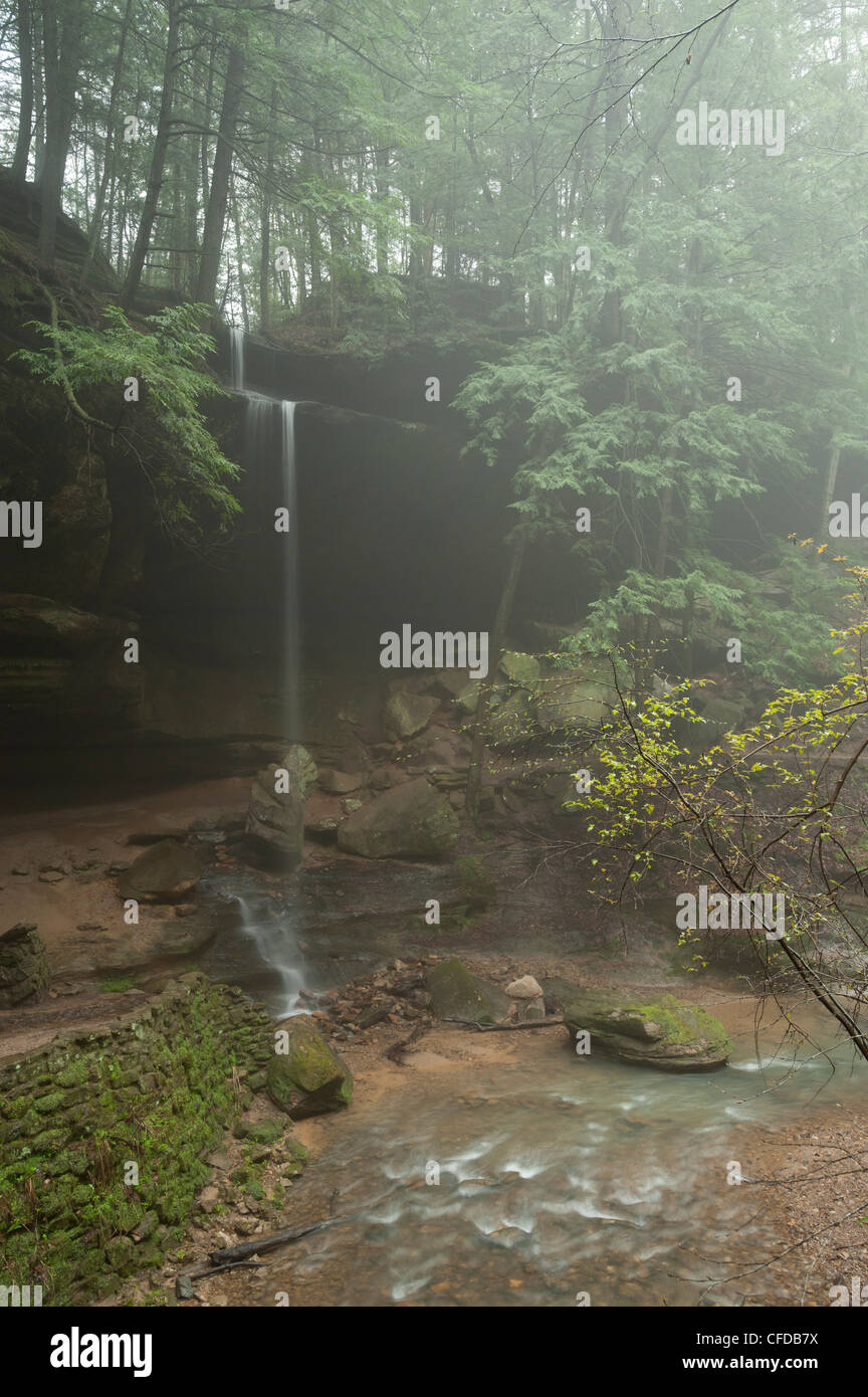 Hocking Hills State Park, Ohio, Estados Unidos de América, Foto de stock