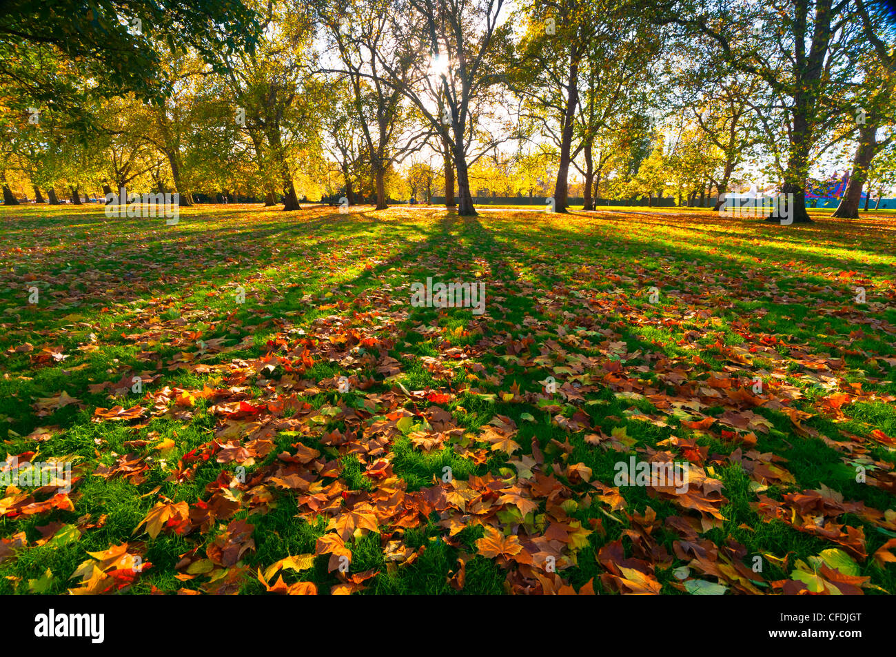 En el otoño de Hyde Park, Londres, Inglaterra, Reino Unido, Europa Foto de stock