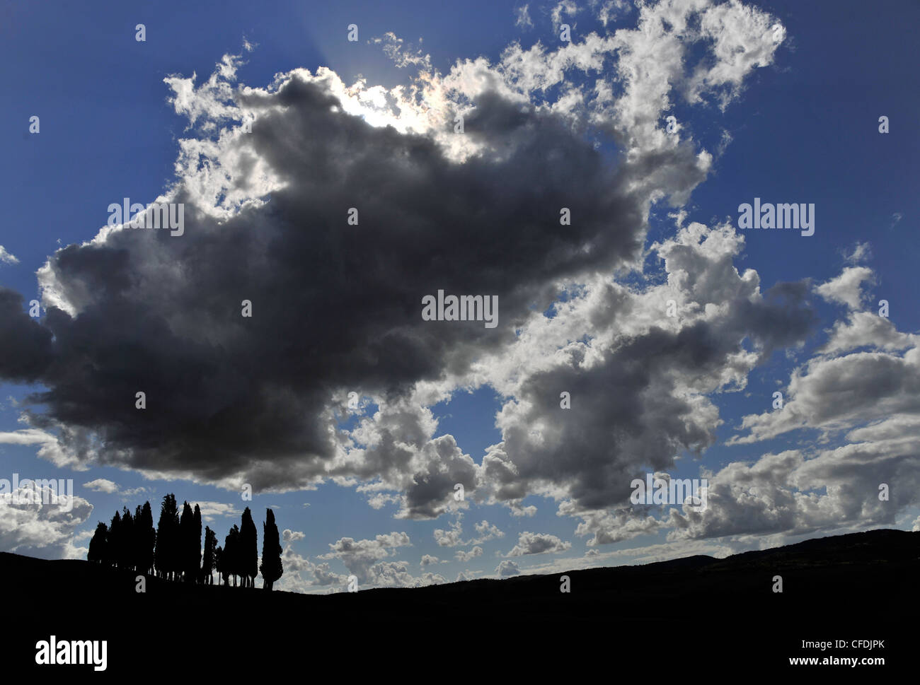 Cipreses bajo el cielo nublado, Creta, Toscana, Italia, Europa Foto de stock