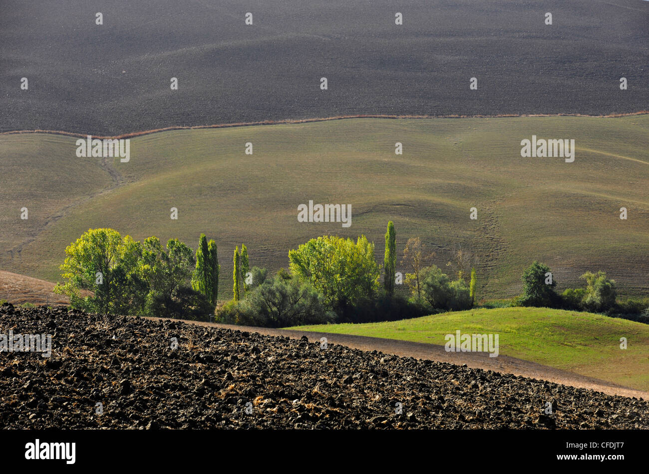Vista del paisaje de colinas de la Toscana, Italia, Creta, Europa Foto de stock