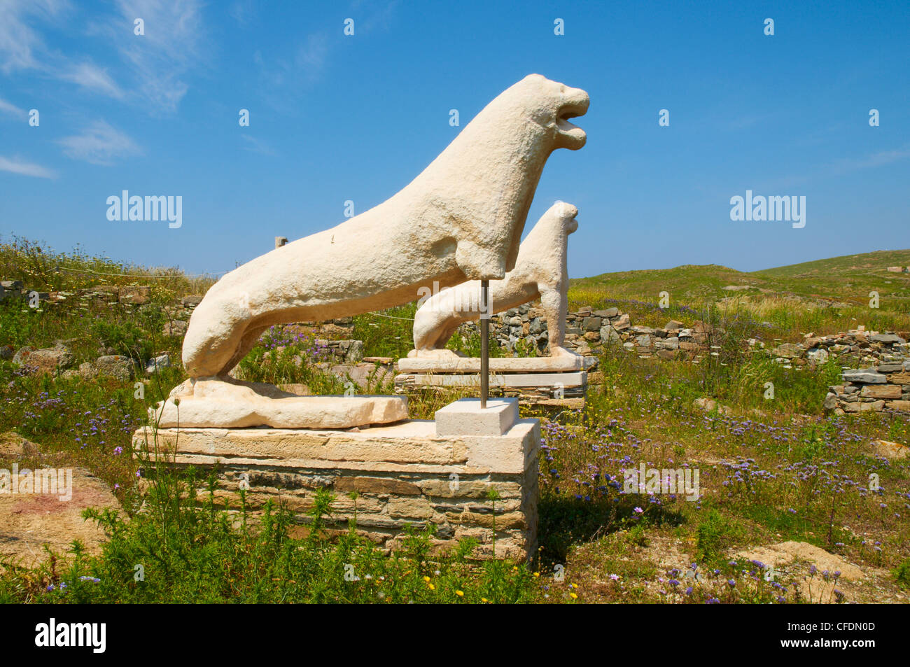 Santuario de Apolo, la terraza de los leones, Delos, Mar Egeo, las Islas  Cícladas, Las Islas Griegas, Grecia Fotografía de stock - Alamy