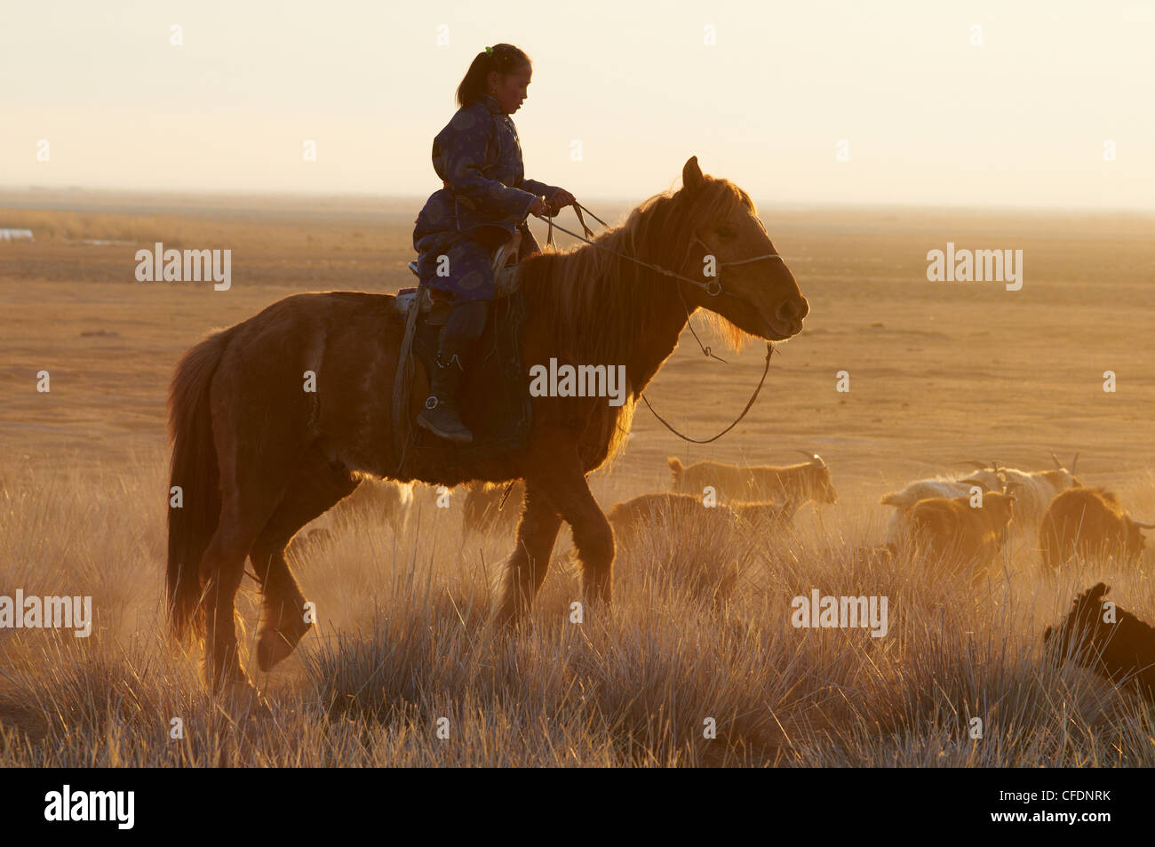 Joven chica de Mongolia a caballo, provincia de Khovd, Mongolia, Asia Central, África Foto de stock