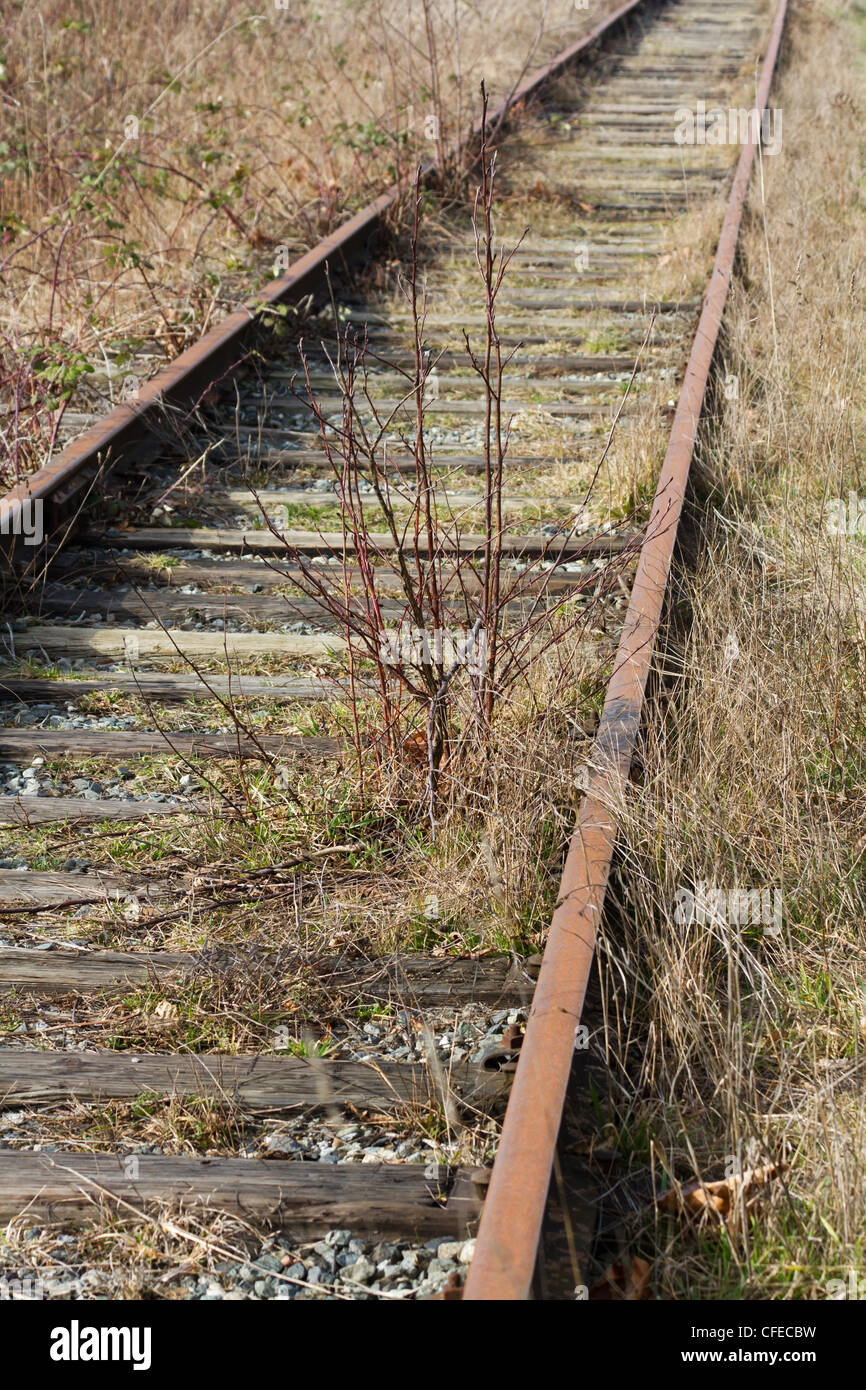Vía férrea abandonada cerca Foto de stock
