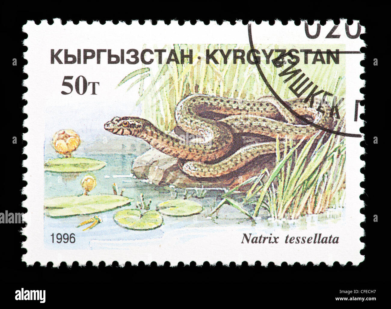 Sello de Kirguistán, representando una serpiente de dados (Natrix tessellata) Foto de stock