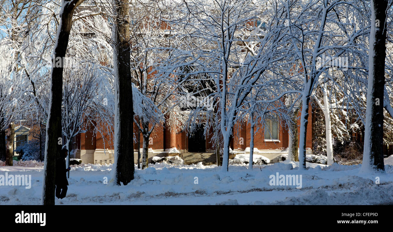 Harvard Yard, el antiguo centro del campus de la Universidad de Harvard, mate en la nieve el día después de una tormenta. Foto de stock