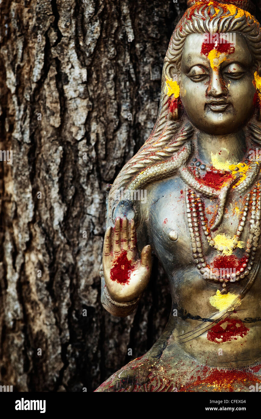 Estatua de la deidad hindú, el Señor Shiva contra un árbol en el campo indio Foto de stock