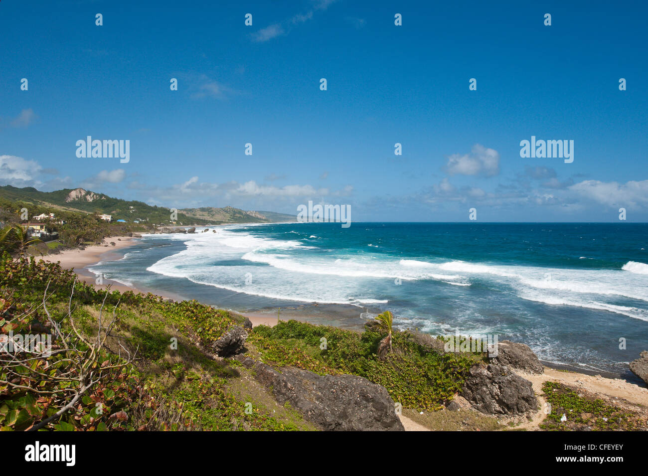 Bathsheba Beach, Barbados, Islas de Barlovento, Antillas, Caribe, América Central Foto de stock