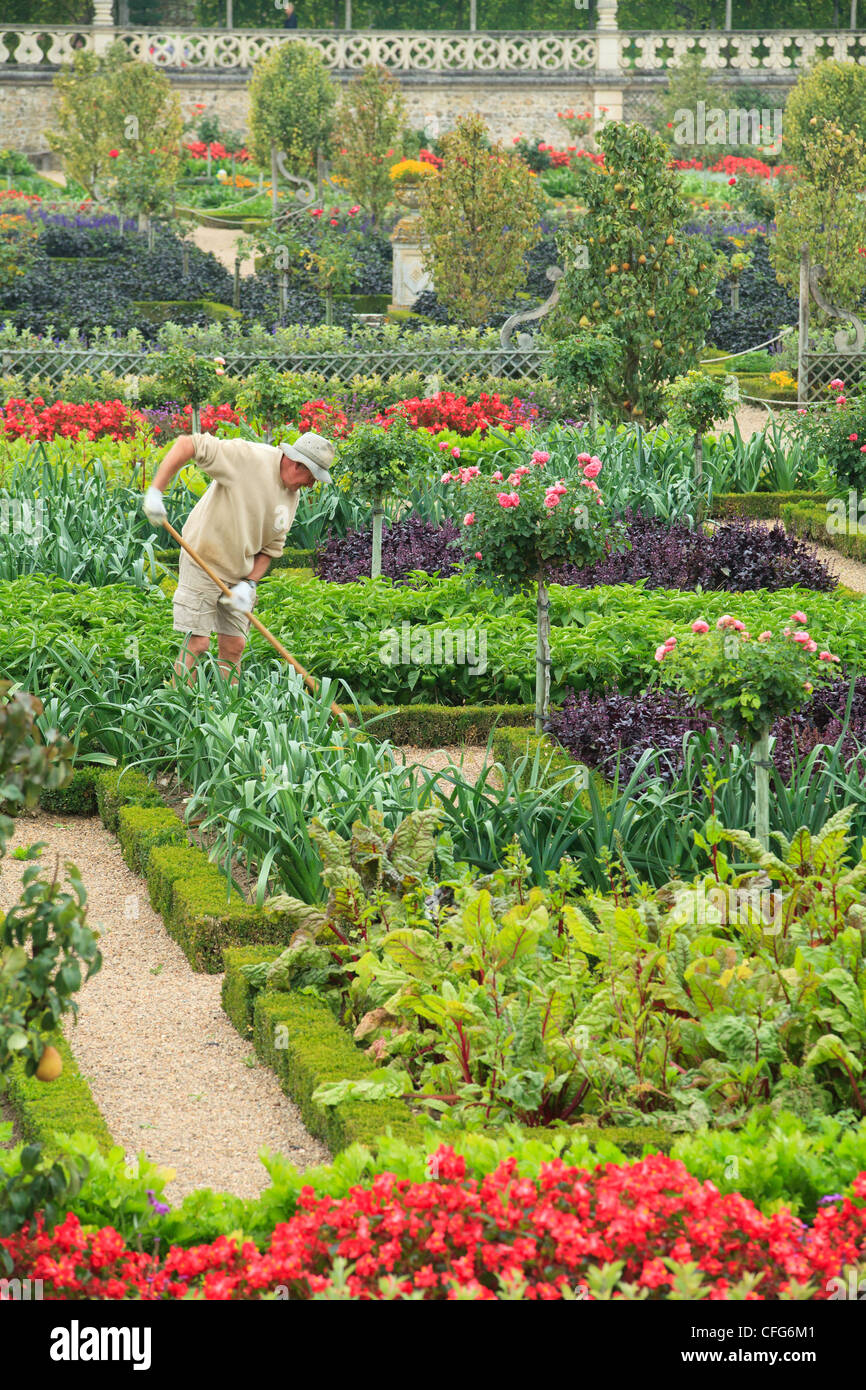 Francia, los jardines del castillo de Villandry, los jardineros en el huerto de la cocina tratada como una 'jardin à la française". Foto de stock