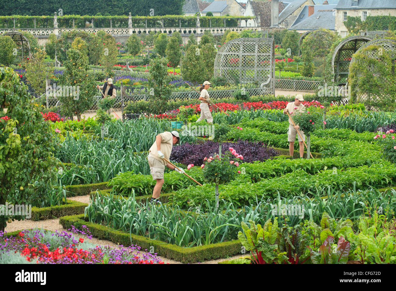 Francia, los jardines del castillo de Villandry, los jardineros en el huerto de la cocina tratada como una 'jardin à la française". Foto de stock