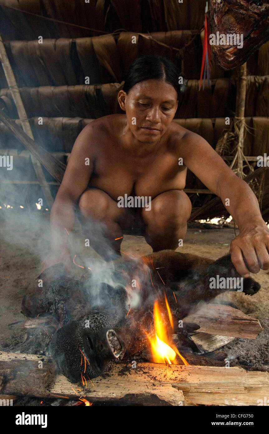 Mujer indígena huaorani, Ware Baiwa, cocinar un choro. Comunidad Gabaro, Parque Nacional Yasuní, selva Amazónica, Ecuador Foto de stock