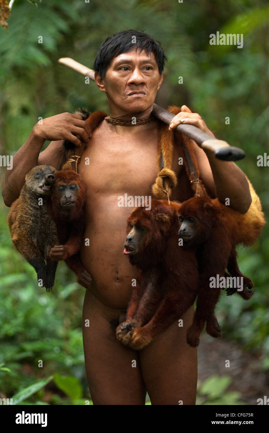 Indios Huaorani llevar cazado monos aulladores y coati. Comunidad Gabaro, Parque Nacional Yasuní, selva Amazónica, Ecuador Foto de stock