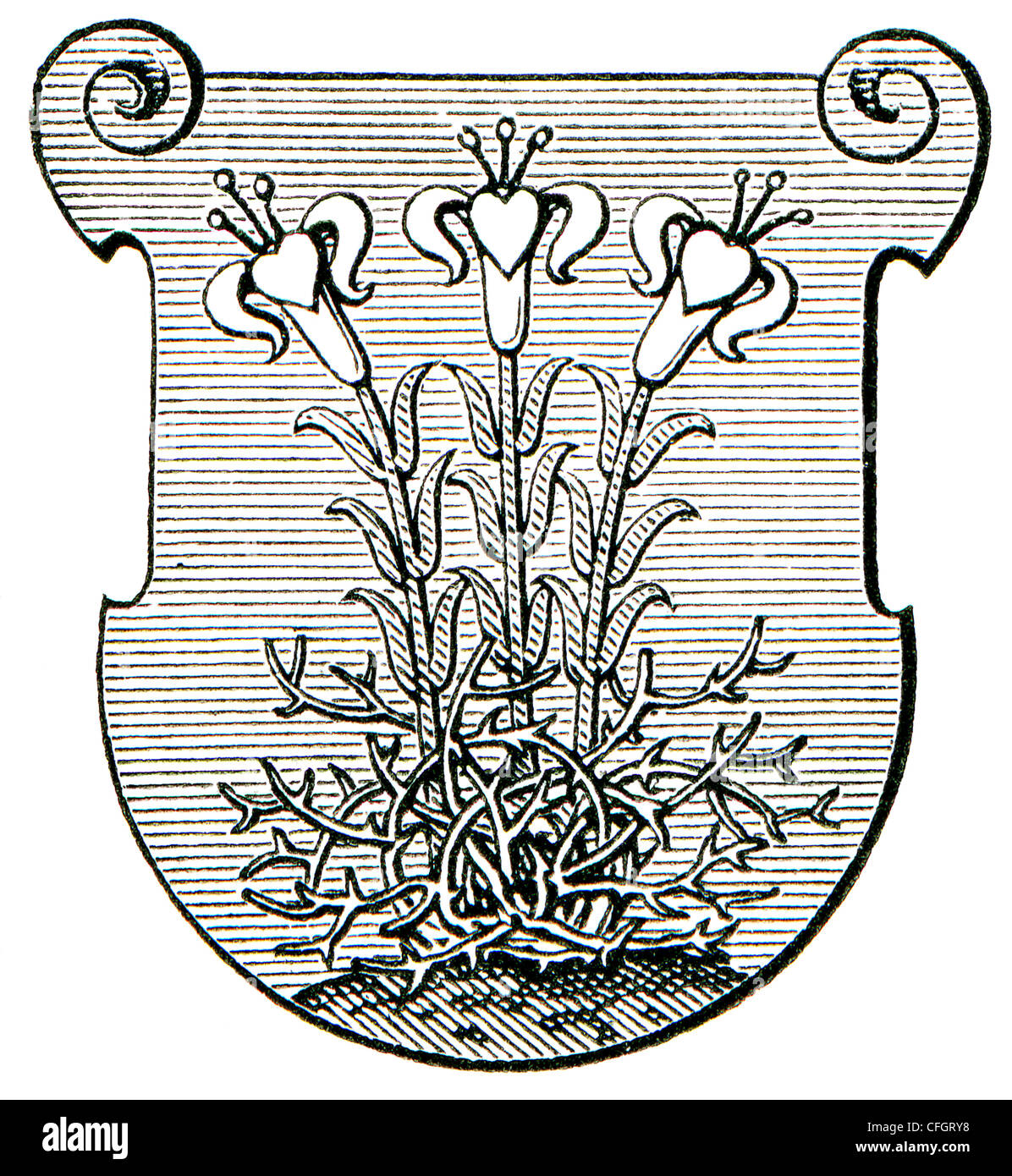 Escudo de Armas Ursulinas de la Unión Romana. La Iglesia Católica