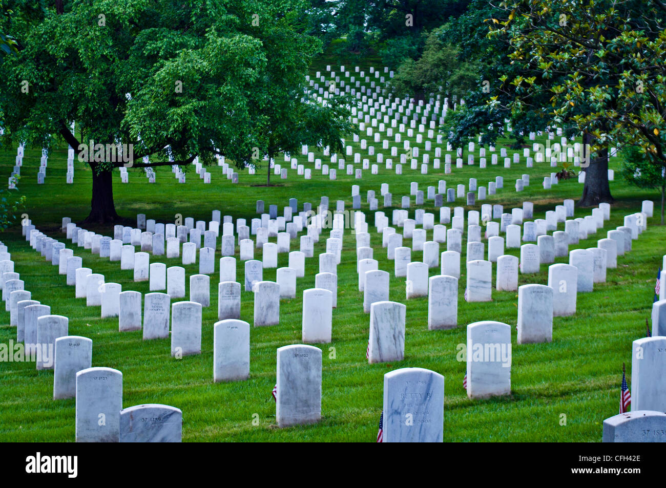 Lápidas de mármol blanco marcar las tumbas de los soldados caídos en un