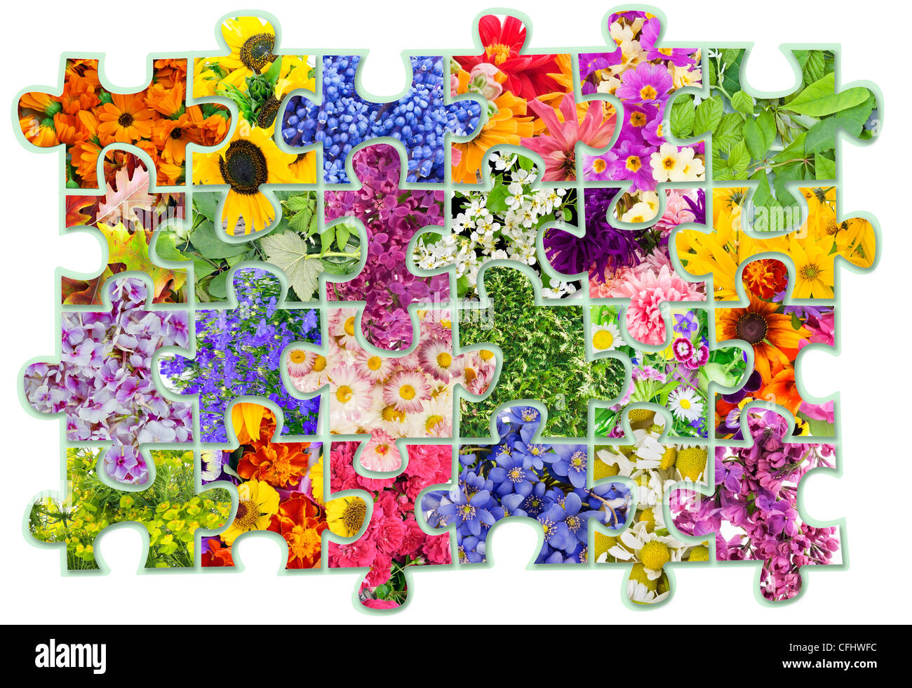 Collage abstracto - flores plantas florales puzzles concepto de fondo. Contiene parches Foto de stock