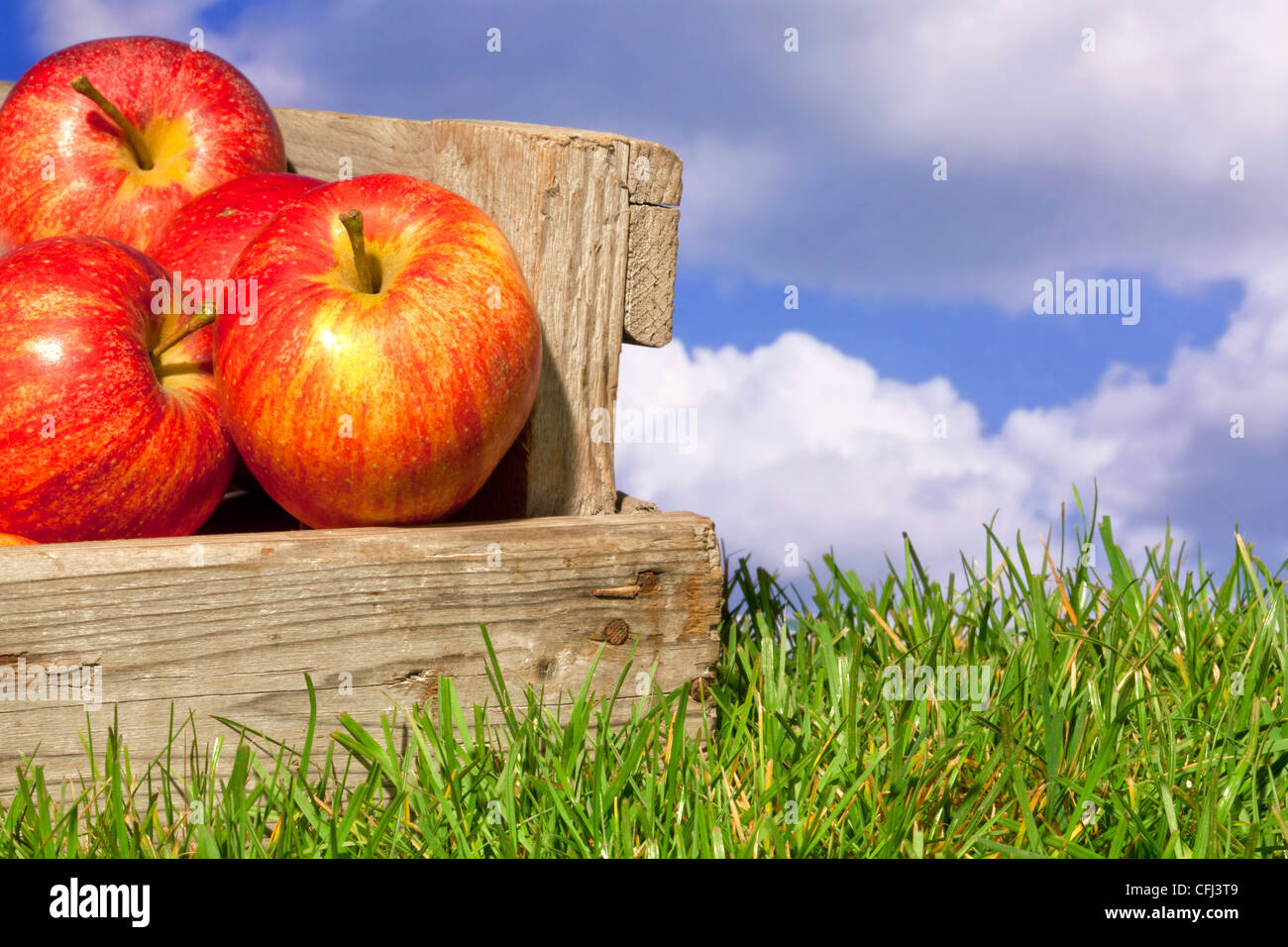 Todavía la vida foto del recién elegido manzanas rojas en una caja de madera sobre el césped contra un azul cielo nublado. Foto de stock