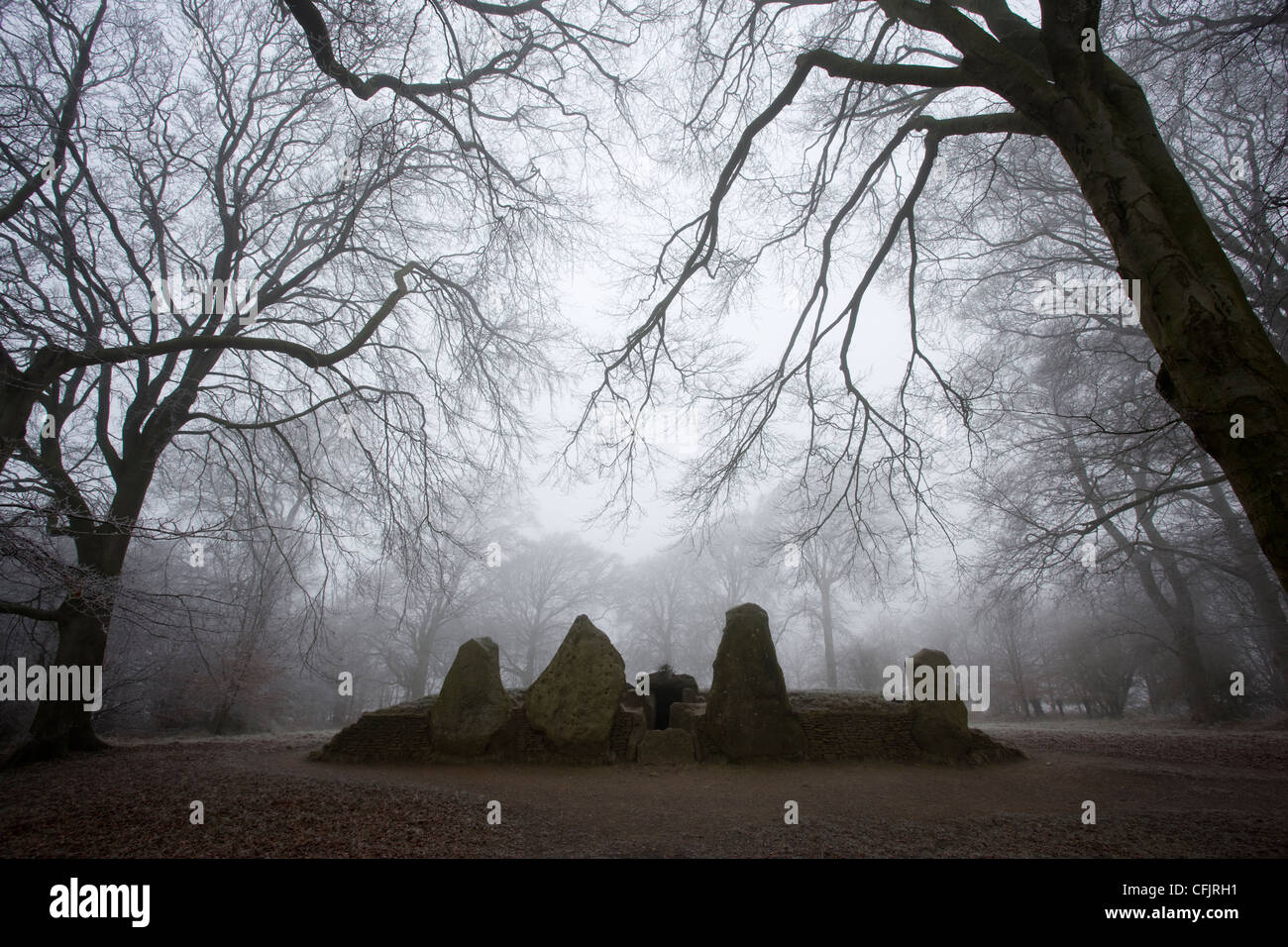 Wayland's herrería, Neolitico antiguo septadas Long Barrow en el Ridgeway Foto de stock