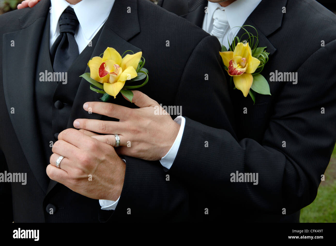 Manos de una pareja gay con anillos de boda Fotograf a de stock