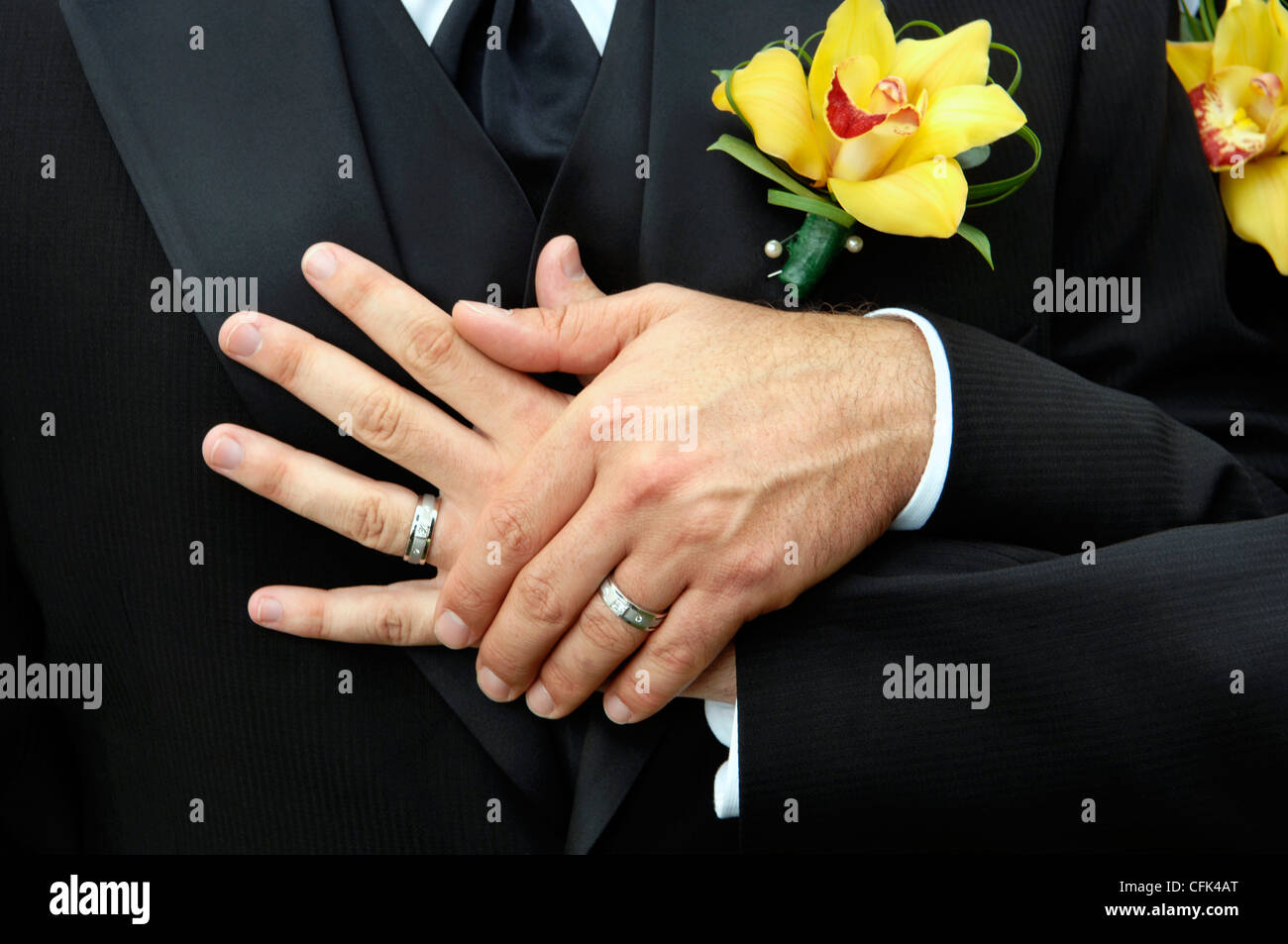 Manos de una pareja gay con anillos de boda Fotografía de stock - Alamy