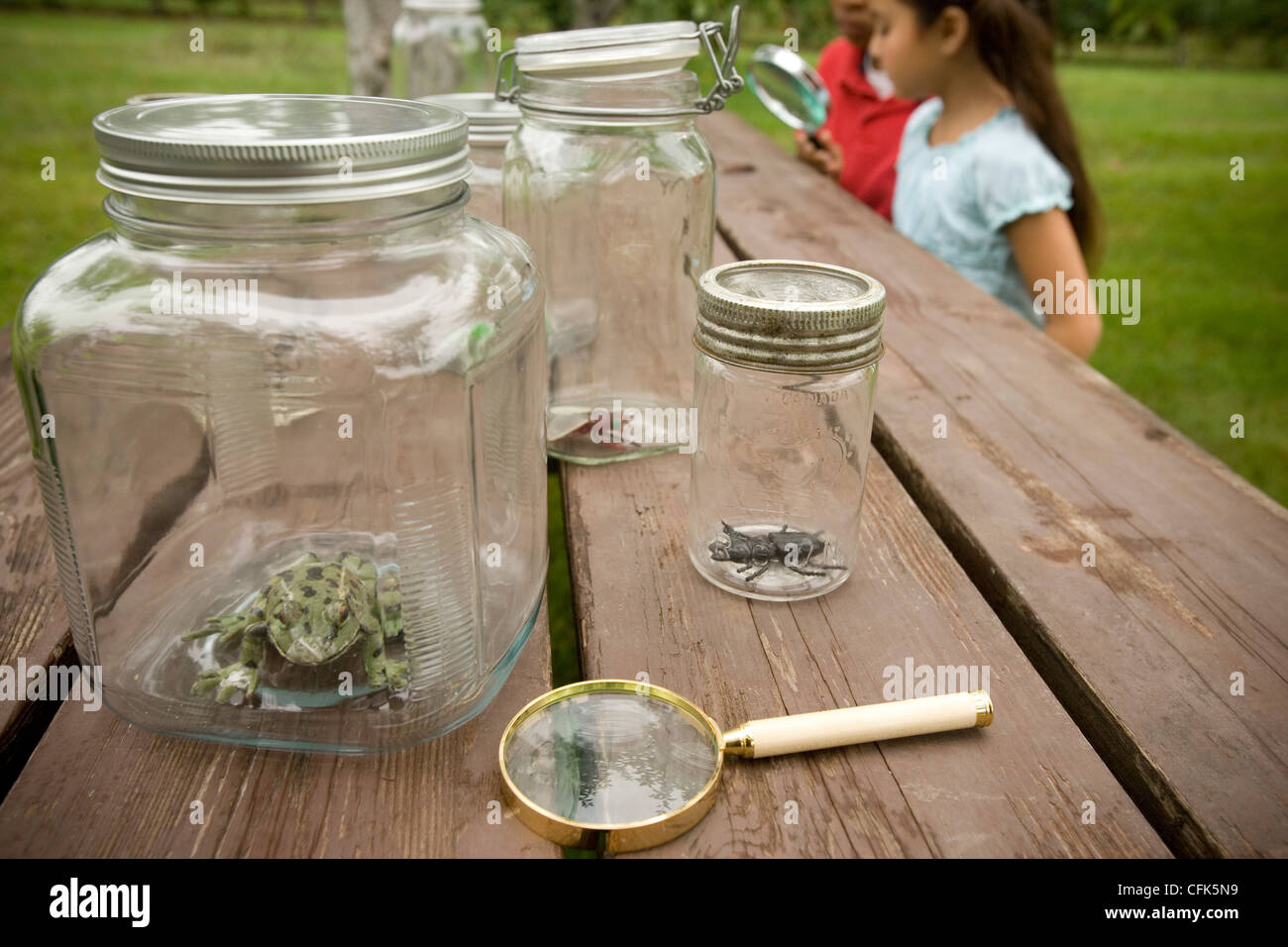 Los frascos con los insectos, los niños mirando a través de una lupa  Fotografía de stock - Alamy