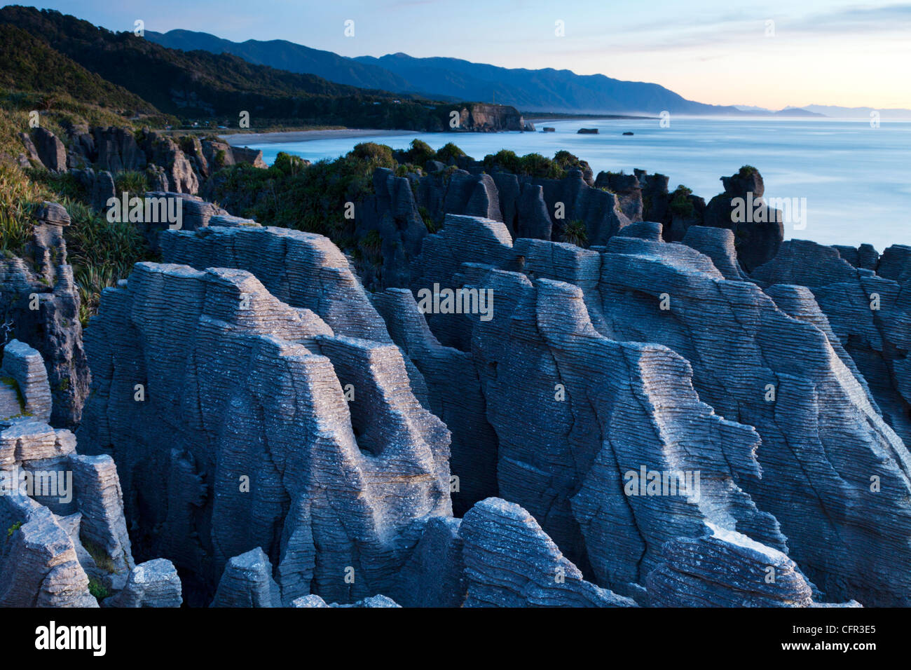 Calizas erosionadas conocida como Pancake Rocks, Dolomite Point, en Punakaiki, en la costa oeste de la Isla Sur de Nueva Zelanda. Foto de stock