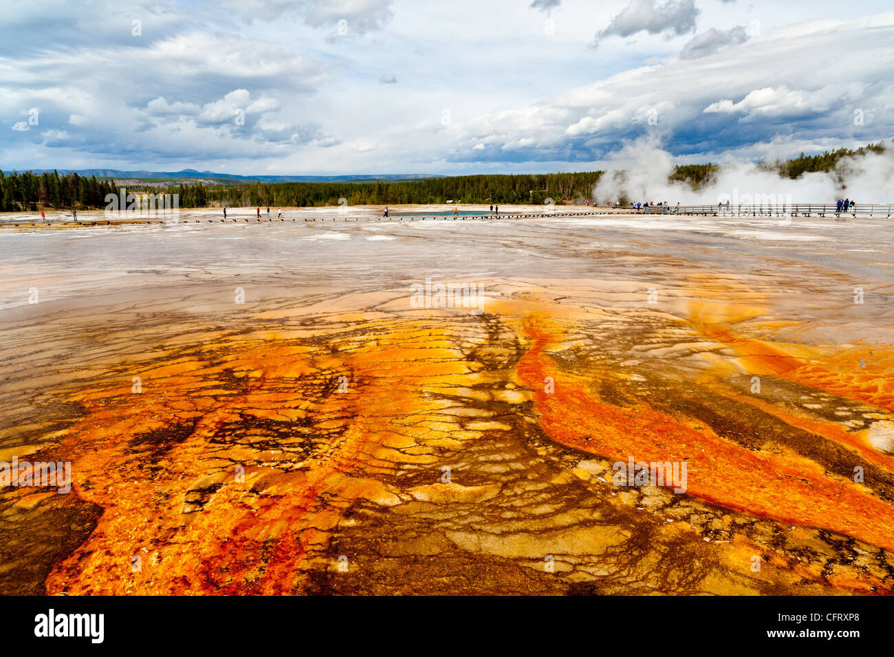 La cuenca del géiser de Midway es en realidad la parte inferior de la Cuenca del Géiser en el parque nacional de Yellowstone. ya que está situada entre las cuencas de géiser superior e inferior se hizo conocida como Midway. Durante su visita a Yellowstone en 1889, Rudyard Kipling se refirió a esta área como 'Hell's medio acre'. midway contiene uno de los mundos más grande hot springs, Grand Prismatic Spring, a unos 370 m. de diámetro. Otras notables muelles son de color turquesa e índigo muelles. aslo escuchar es excelsior geyser, que dischargres más de 4.000 galones de agua hirviendo cada minuto. Foto de stock