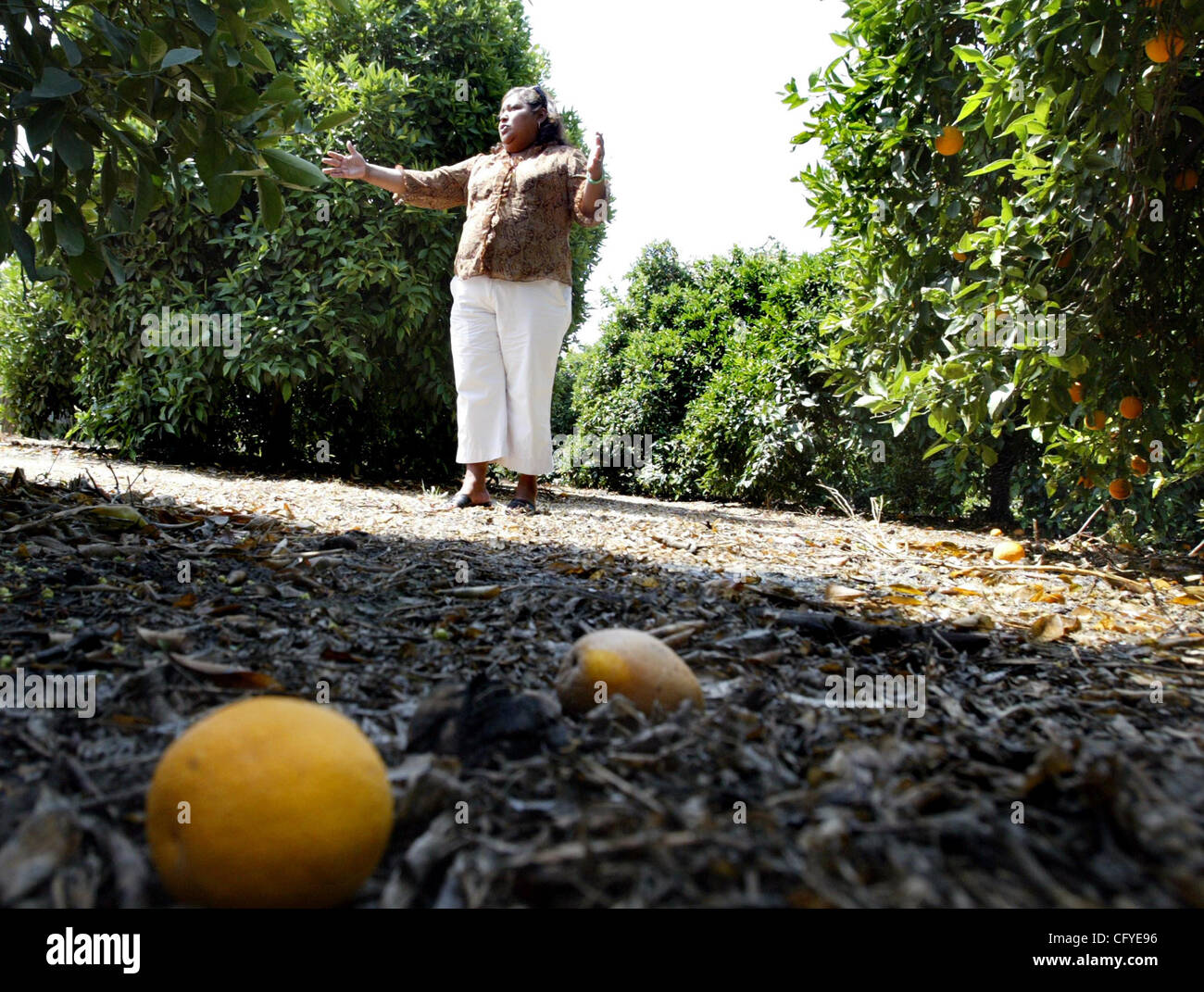 Irma Arroyo, comunidad acitivist de El Quinto Sol de América habla de
