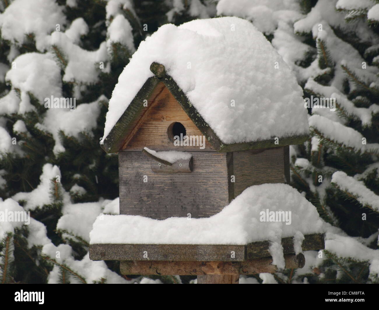 Casita para aves / verschneites Vogelhäuschen nevados Foto de stock