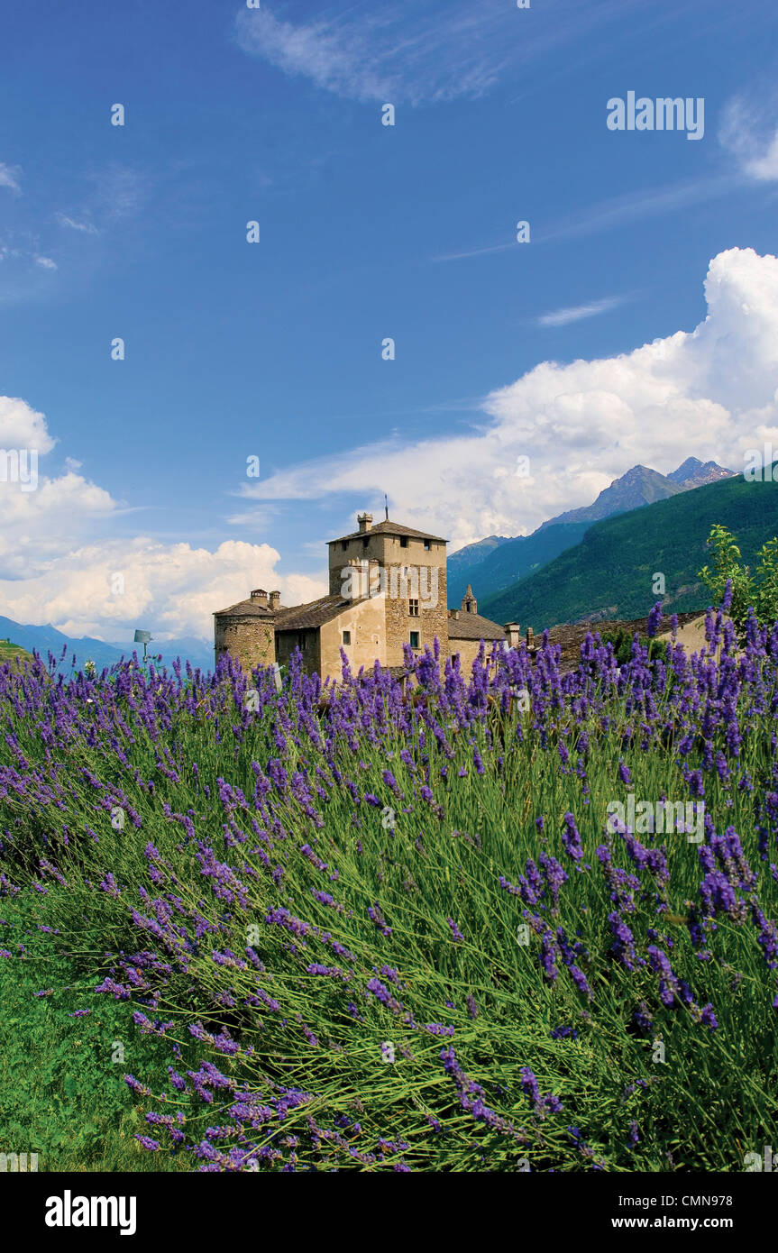 Italia Valle d'Aosta San Pierre Castillo Sarriod de La Tour Foto de stock