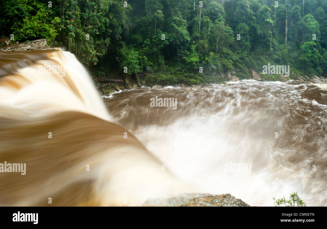 Maliau Falls (6 de 7 niveles) en el río Maliau. Centro de Maliau Basin - Sabah del "Mundo Perdido" - Borneo. Foto de stock