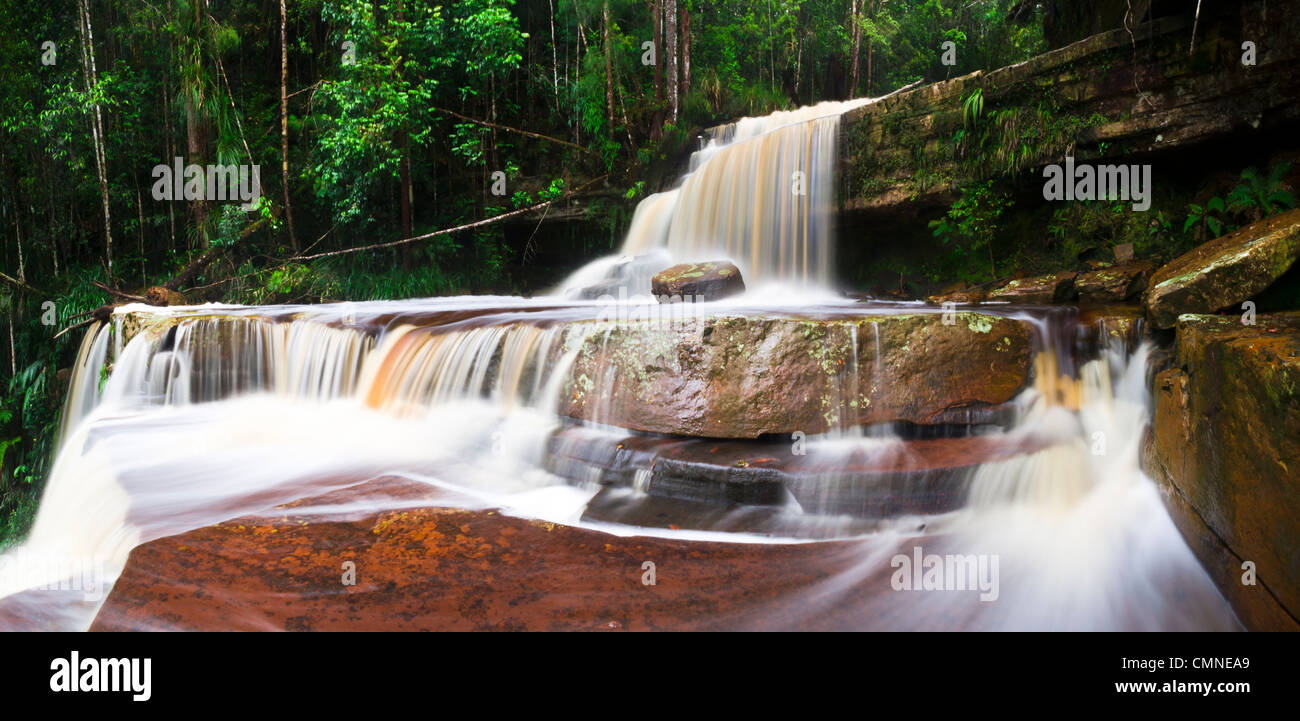 Gulik Falls, el borde de la meseta sur, Cuenca Maliau. Sabah del "Mundo Perdido", Borneo. Foto de stock