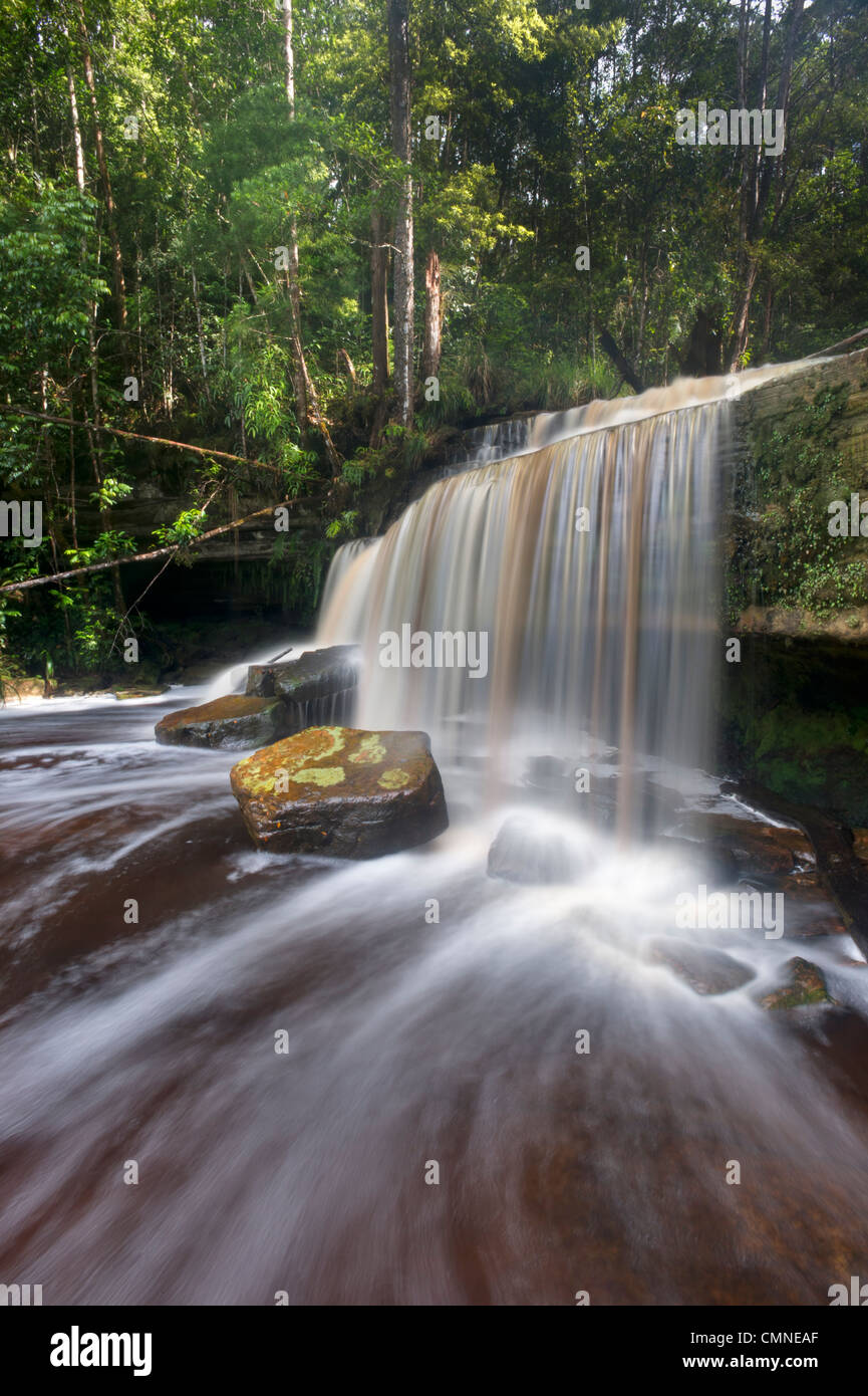 Gulik Falls, el borde de la meseta sur, Cuenca Maliau. Sabah del "Mundo Perdido", Borneo. Foto de stock