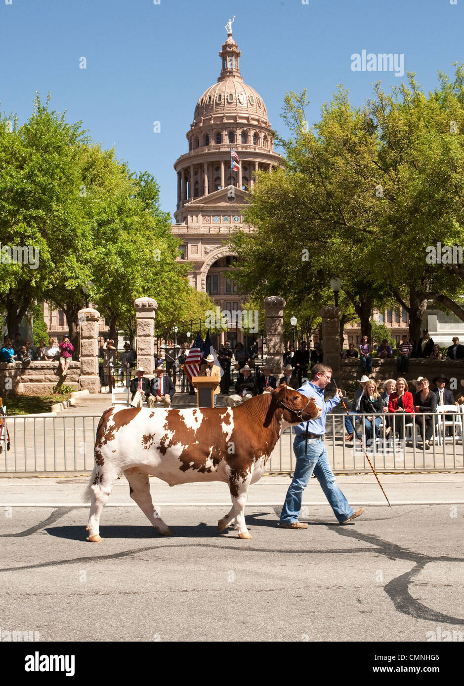 Los concursantes en el caso de dirección Grand Champion parade entradas frente al Capitolio de Texas durante el 75º aniversario de Rodeo Foto de stock