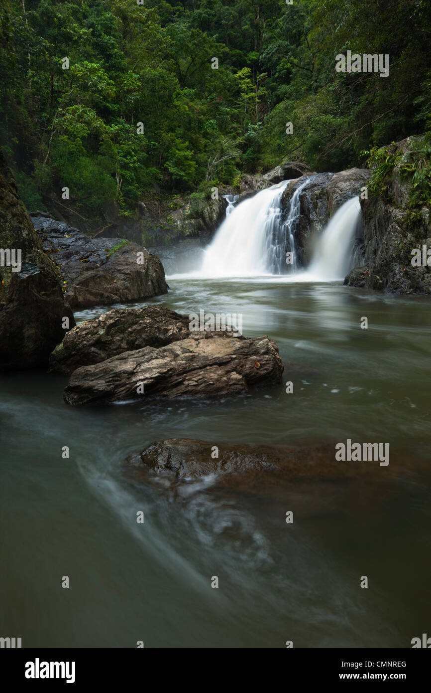 Cascada en cascadas cristalinas de agua dulce - un popular natación Agujero cerca de Cairns, Queensland, Australia Foto de stock