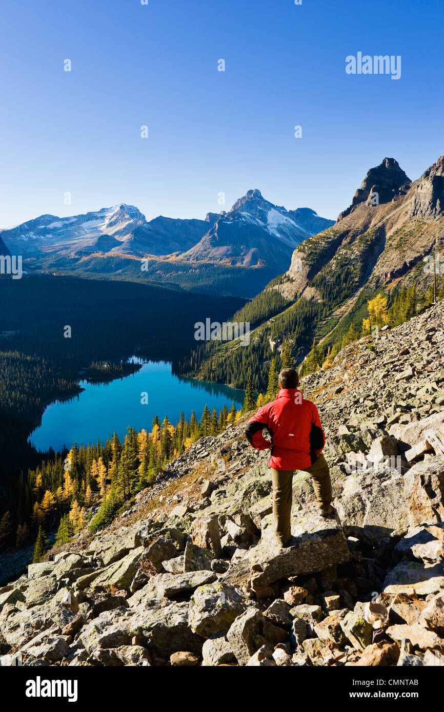 Caminante mirando al lago O'Hara, el Parque Nacional Yoho, British Columbia Foto de stock