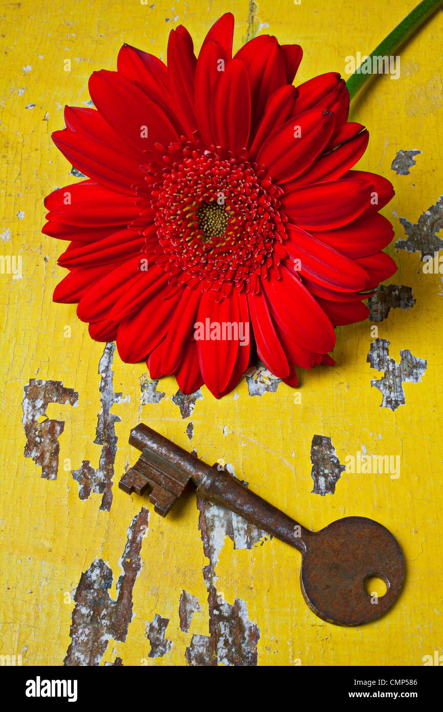 Daisy rojo y antiguo skeleton key en la vieja tabla amarilla Foto de stock
