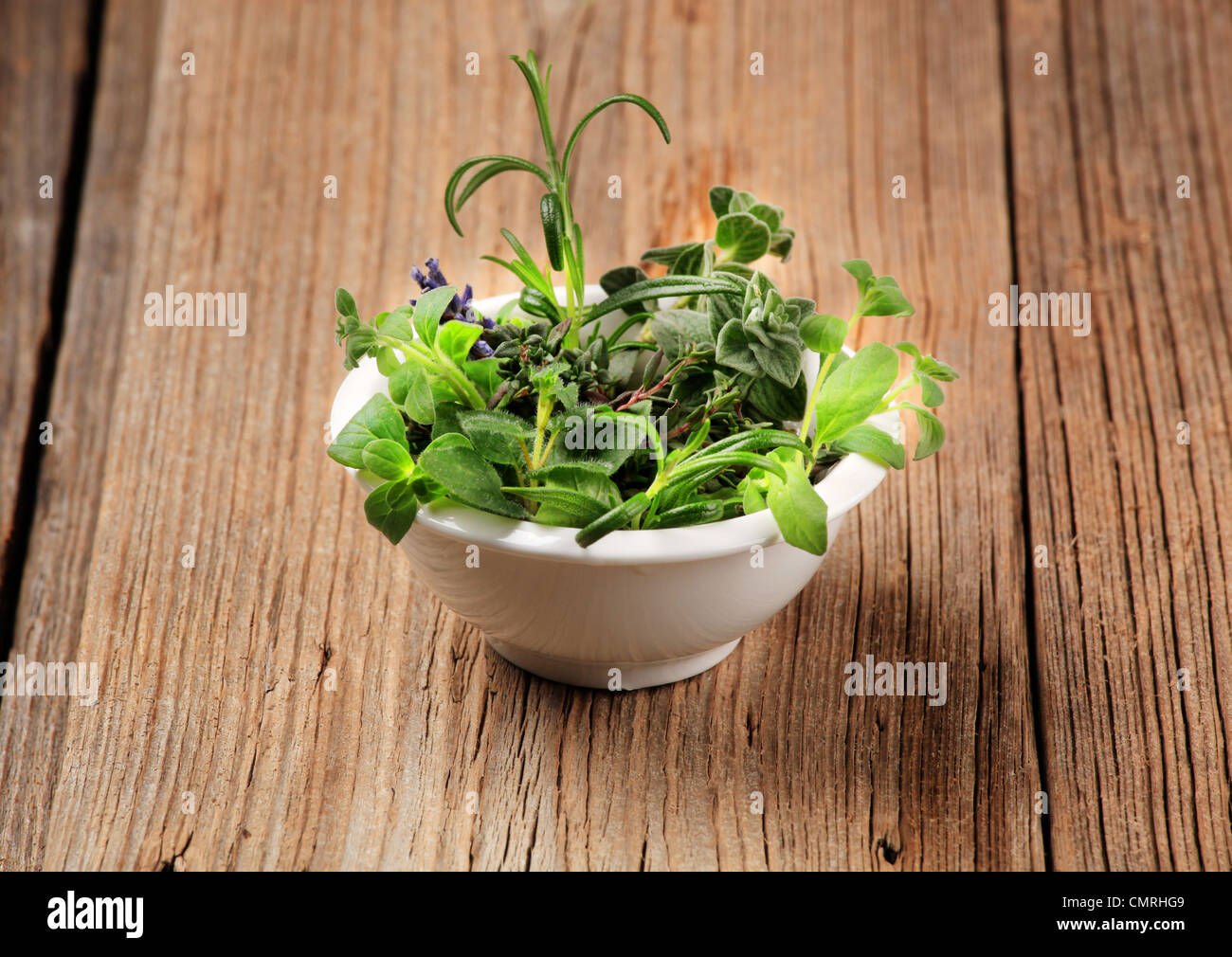 Variedad de hierbas culinarias frescas en un recipiente Foto de stock