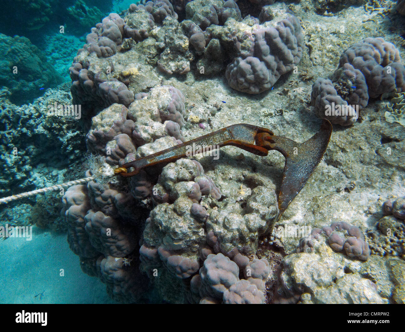 Ancla en el arrecife de coral, Coral Coast, Viti Levu, Fiji, Pacífico Sur Foto de stock
