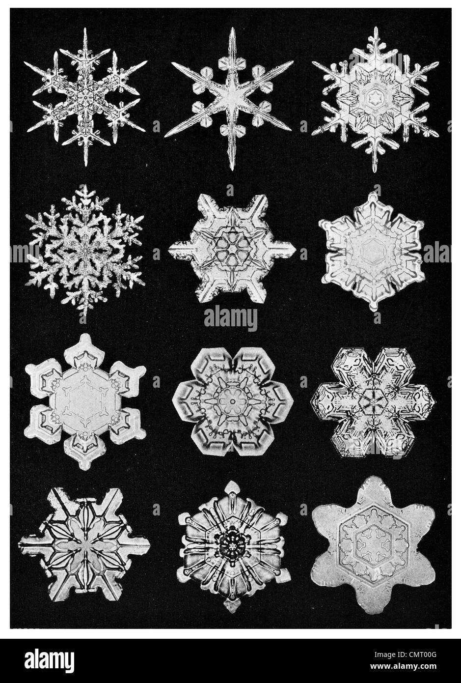 Las formas geométricas de cristal de nieve de Navidad copo de nieve Foto de stock