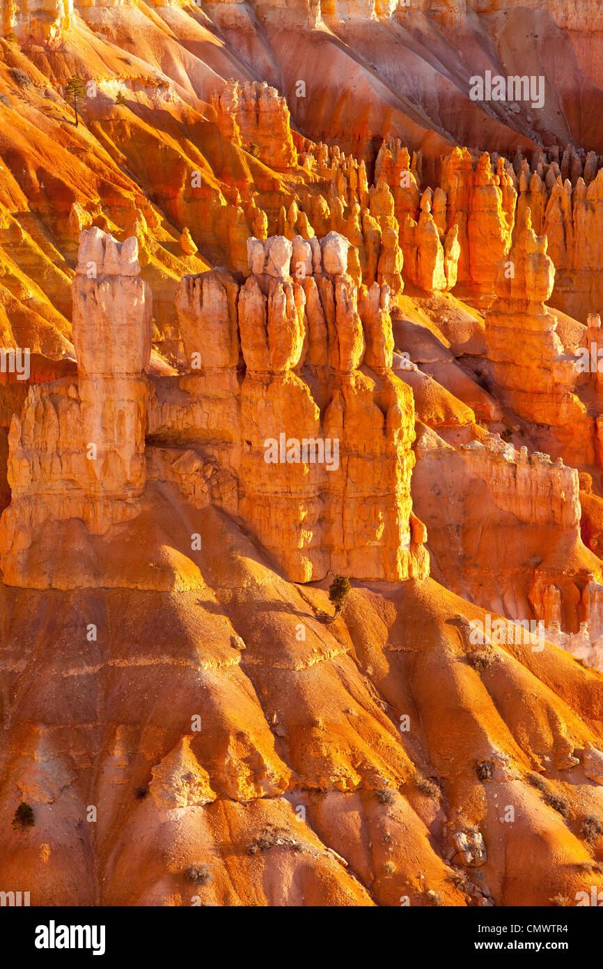 Formaciones de roca - Hoodoos, en el Sunset Point, Bryce Canyon National Park, Utah, EE.UU. Foto de stock
