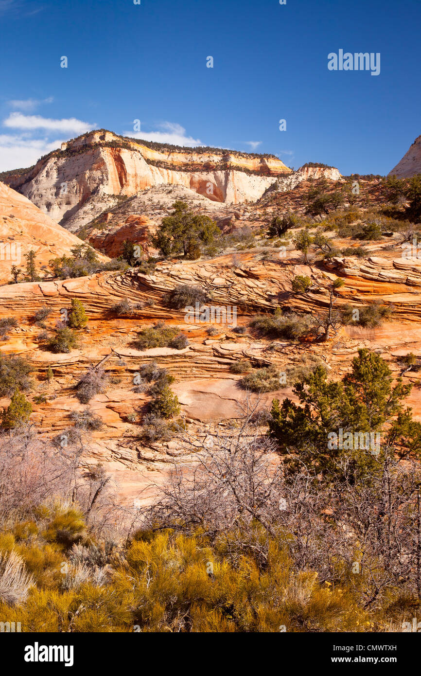Formaciones rocosas, el Parque Nacional de Zion, Utah, EE.UU. Foto de stock